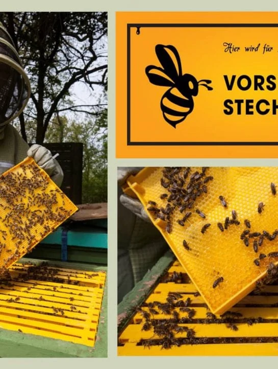 Bienen Collage