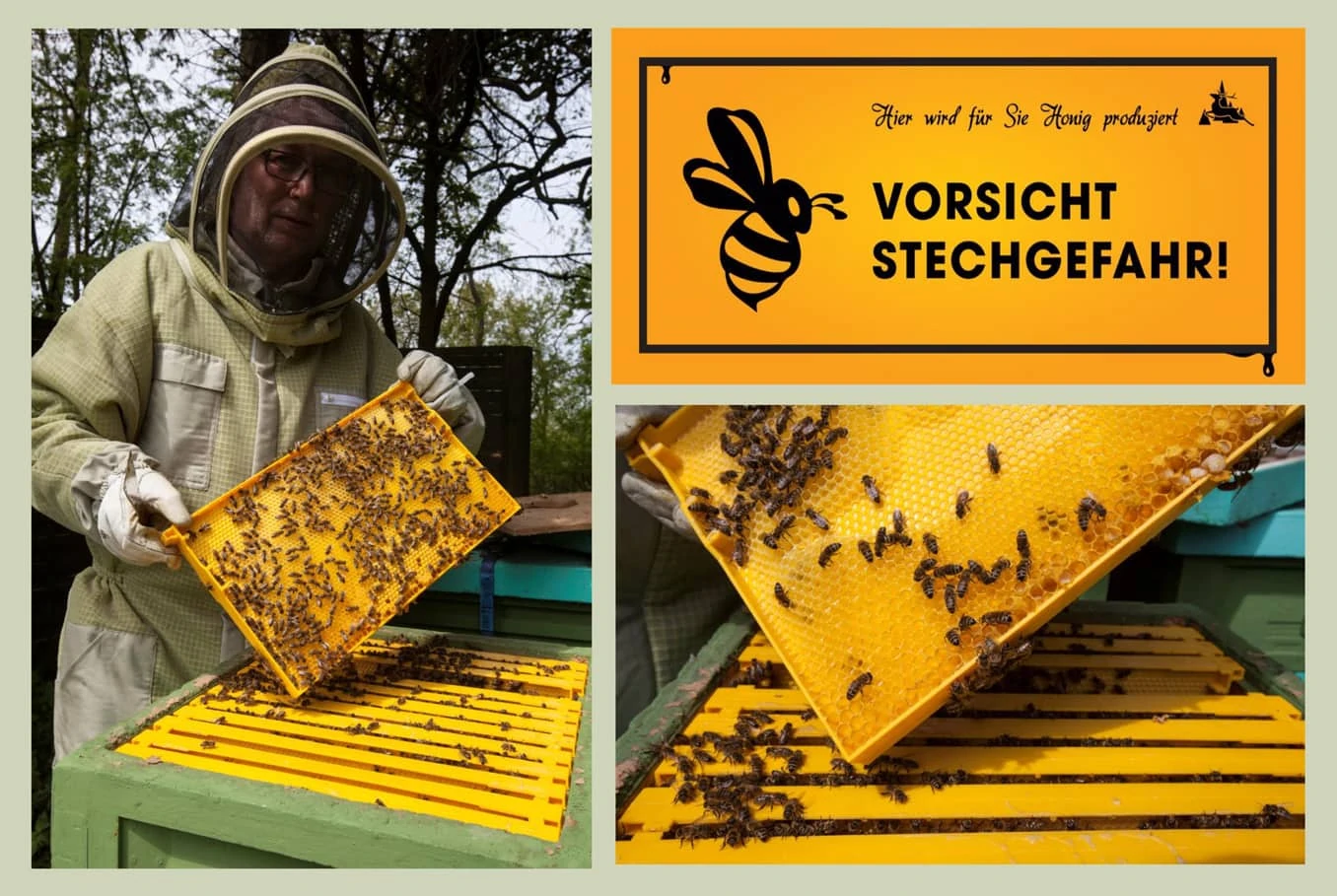 Bienen Collage