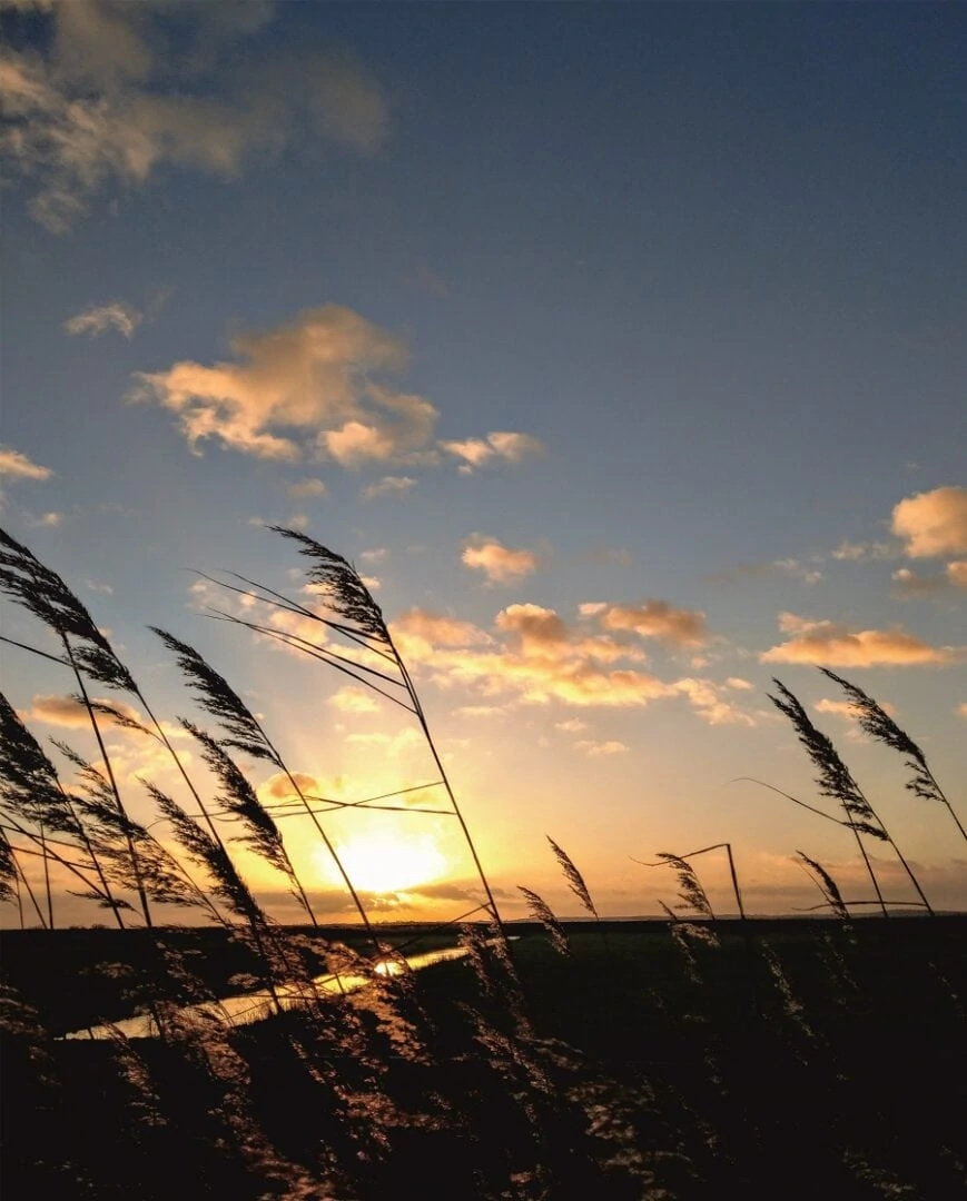 Sonnenuntergang-Achterwasser