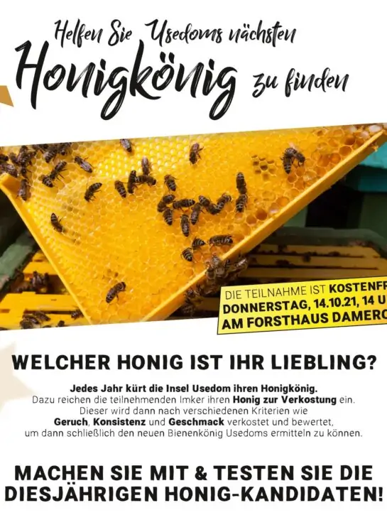 plakat_a3_20211011_bienenkönig_4