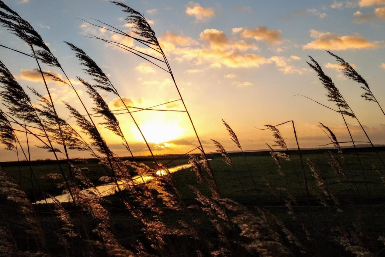 Wellnesspause zwischen Ostsee & Achterwasser 6