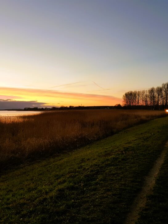 Fackelwanderung-Deich Fackelwanderung-Deich